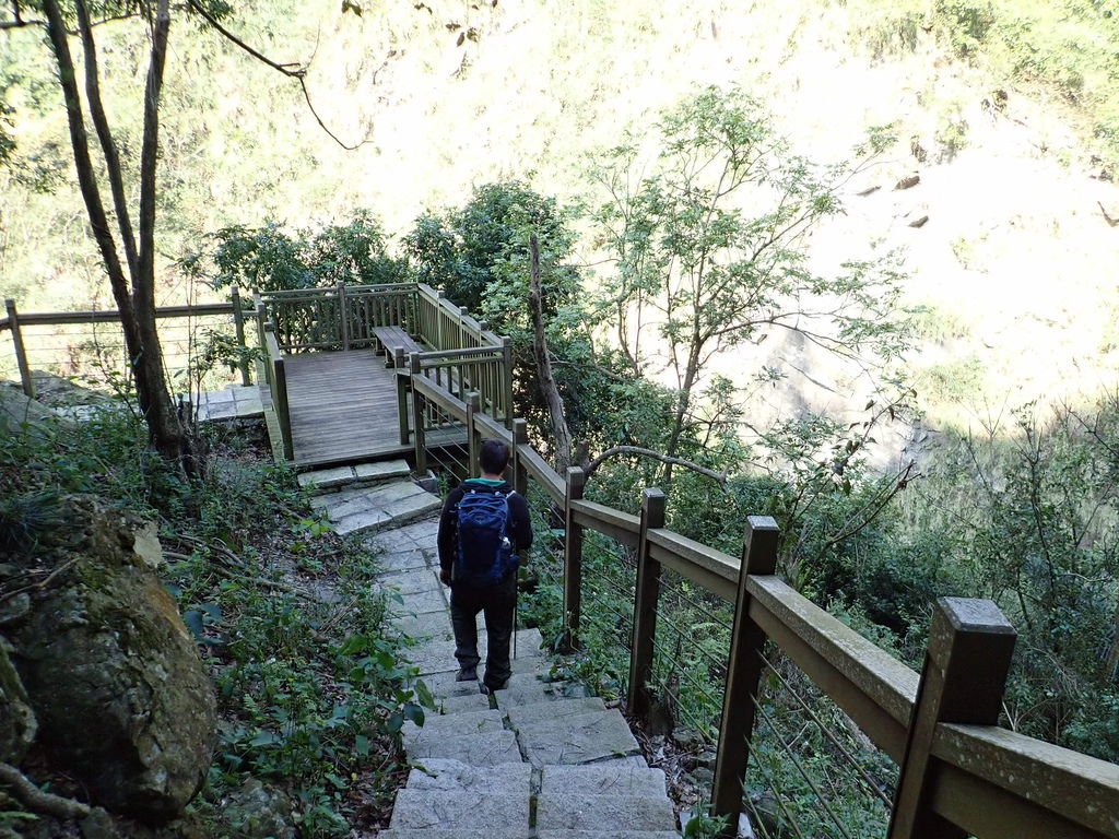 P1140534.JPG