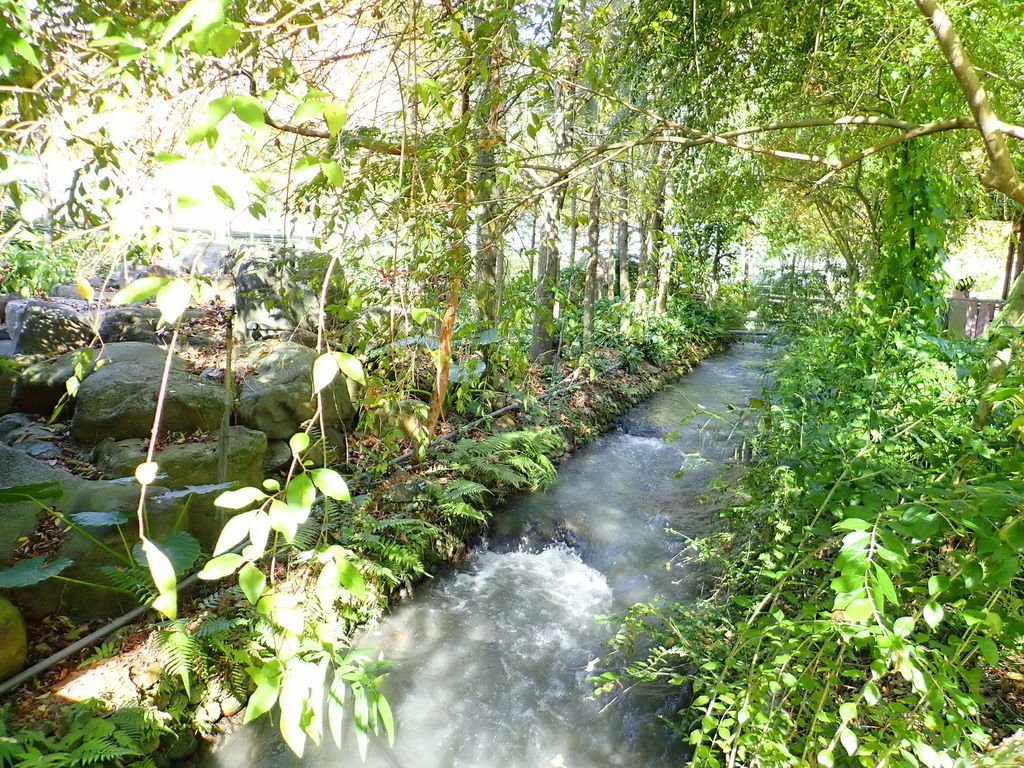 PC220110.JPG