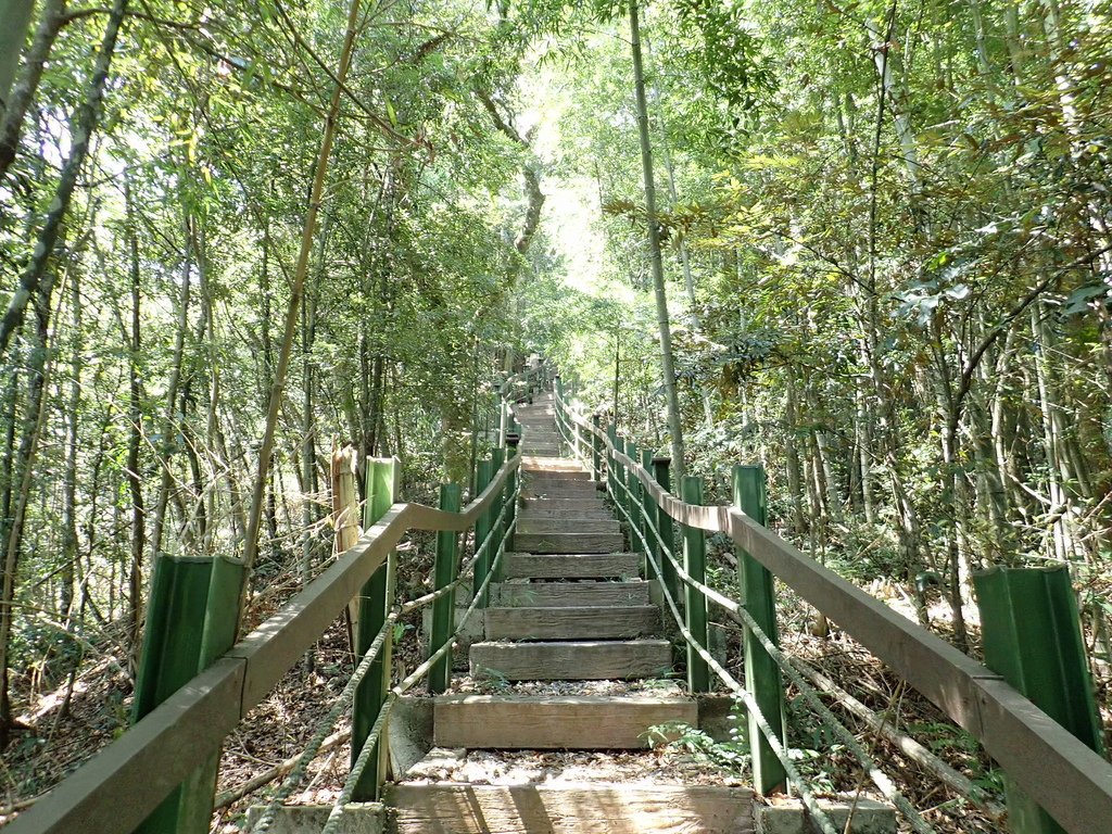 P9260750.JPG