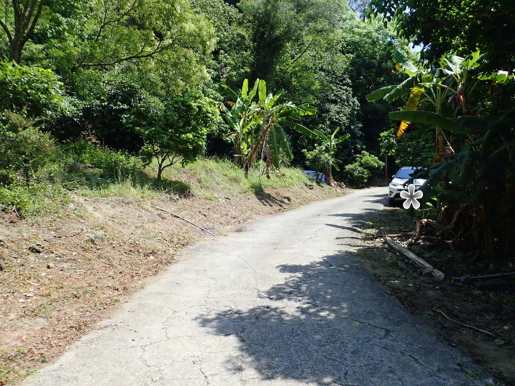 P4102246.JPG
