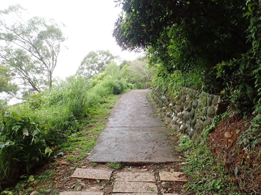 P4031828.JPG