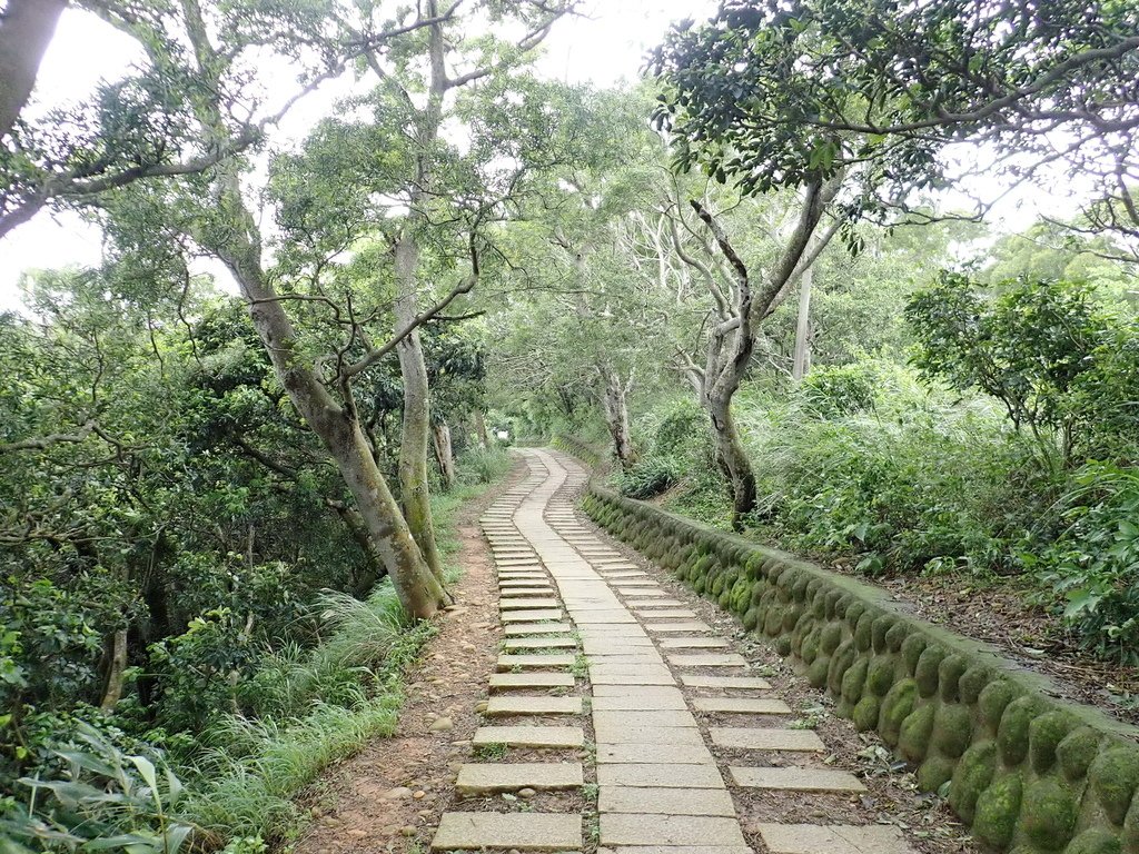 P4031835.JPG