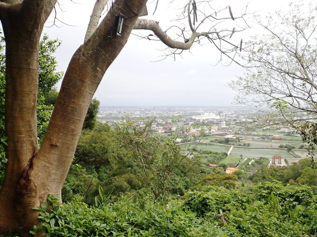 P4031991.JPG