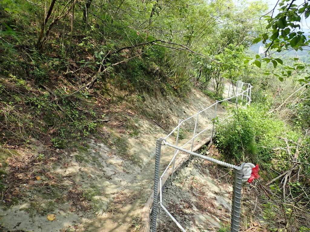 P5220845.JPG