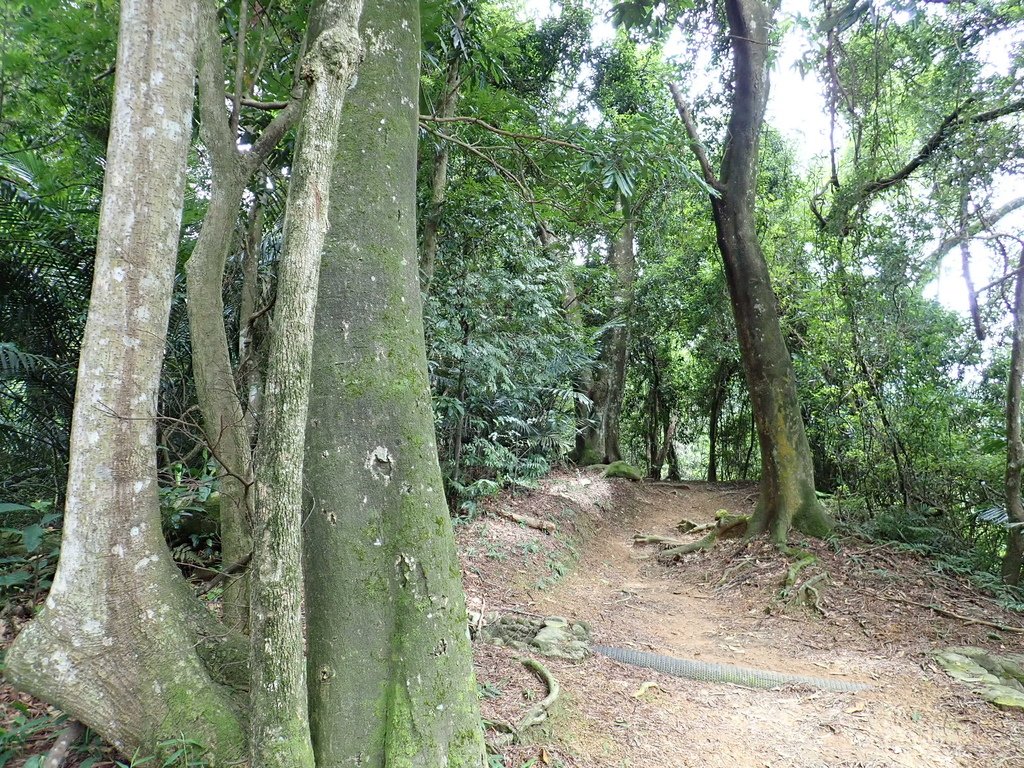 P7032357.JPG