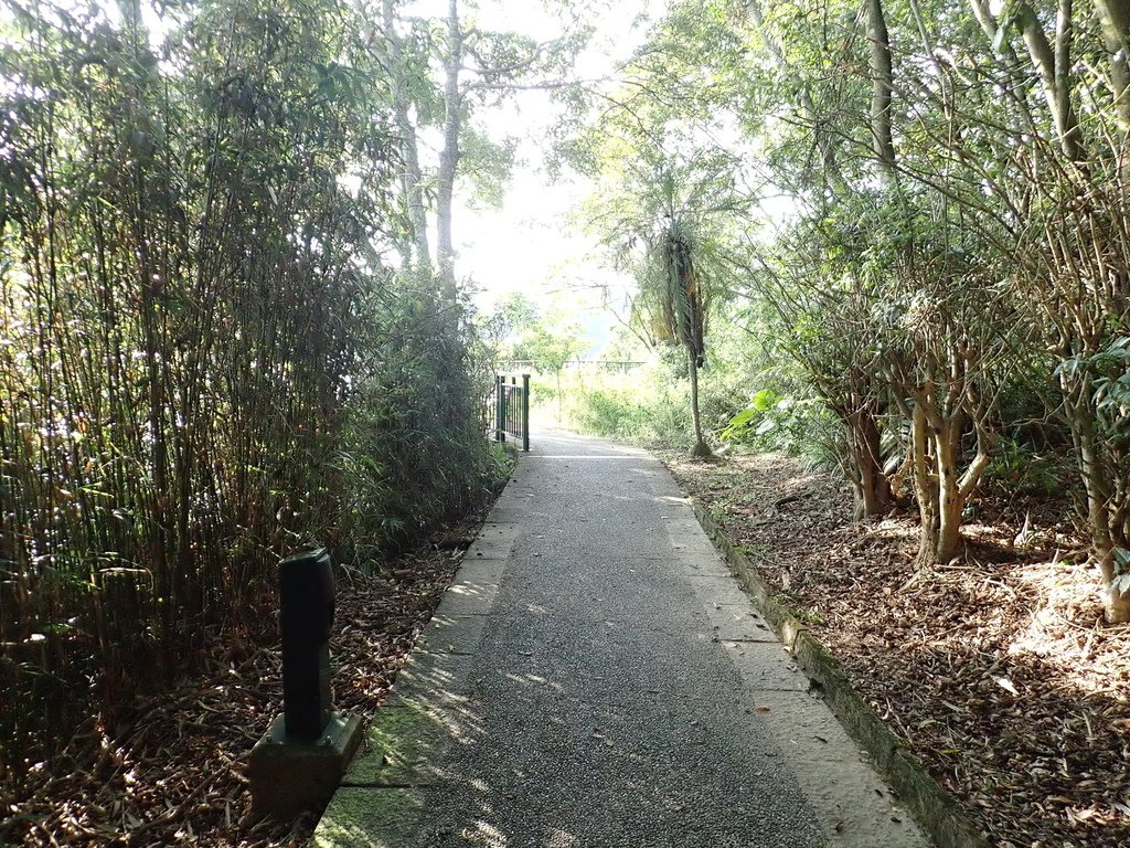 P9250961.JPG