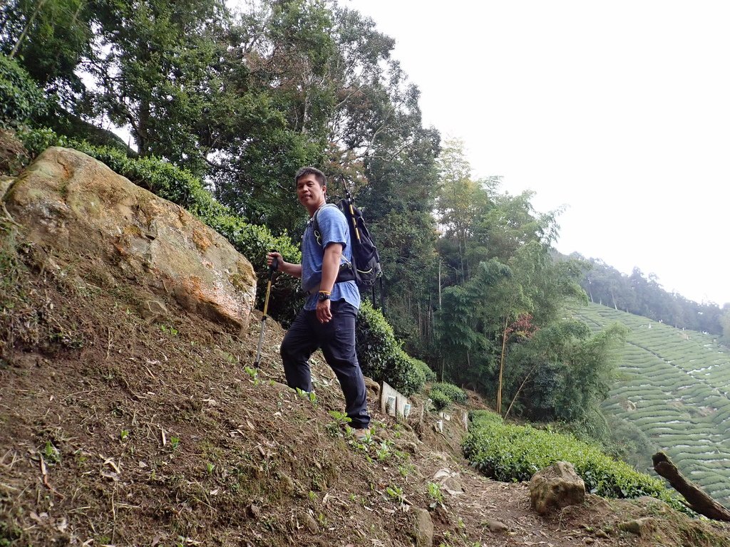 P4160867.JPG