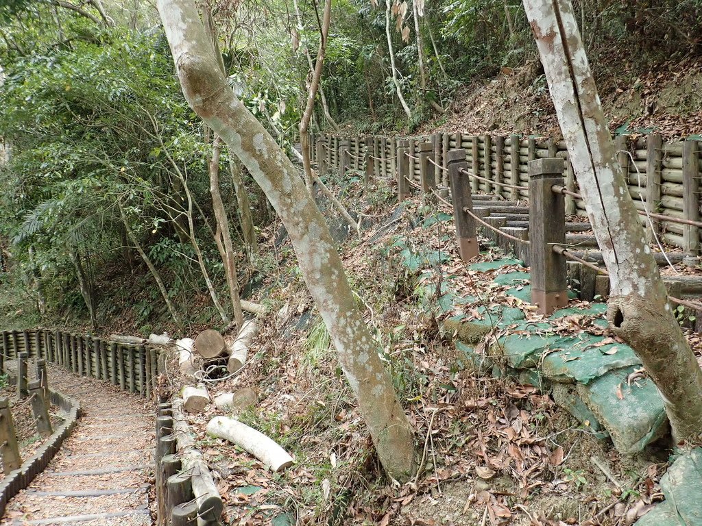 P4040347.JPG