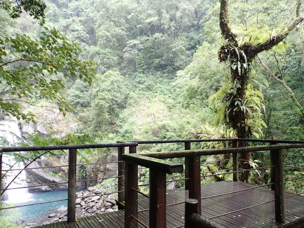 P8251651.JPG