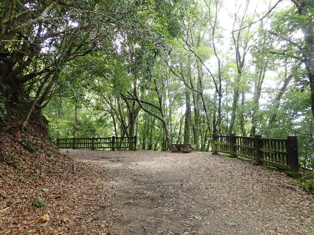P9171696.JPG