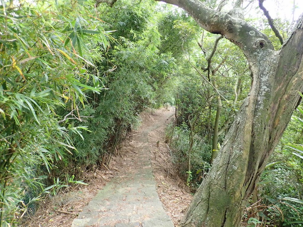PA292751.JPG