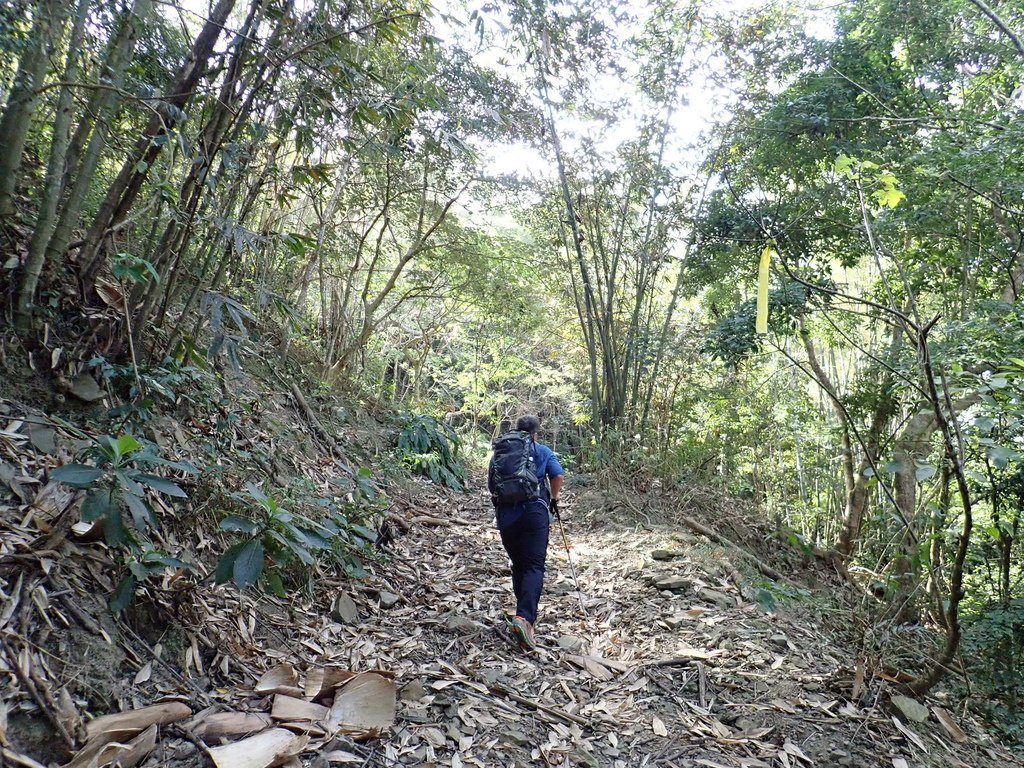 P1280366.JPG