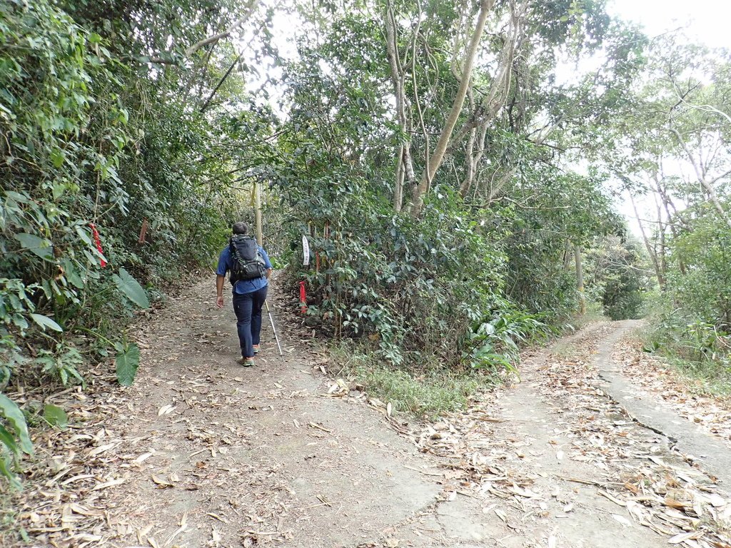 P1280386.JPG