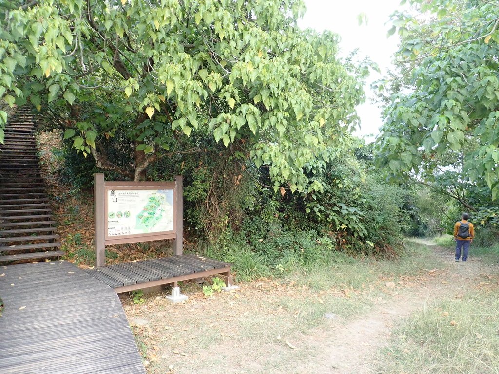 P1070861.JPG