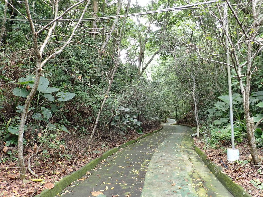 P9081446.JPG