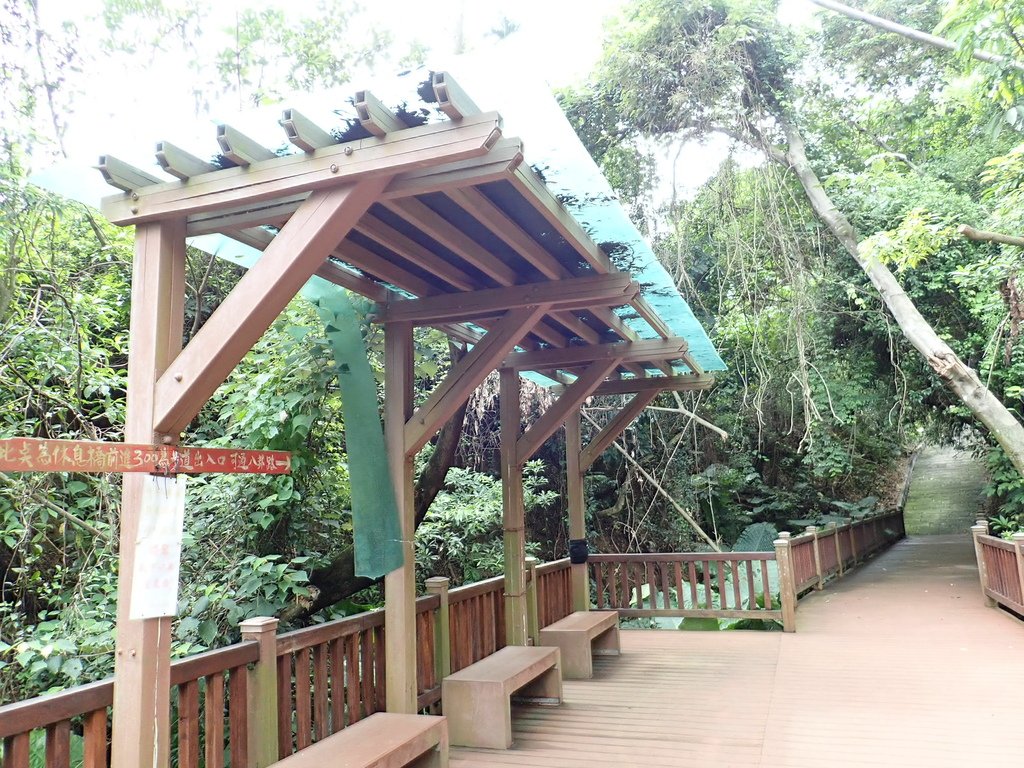 P9081457.JPG