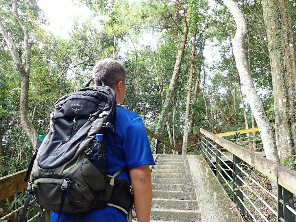 PA272343.JPG