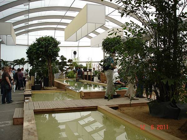 DSC09182.JPG