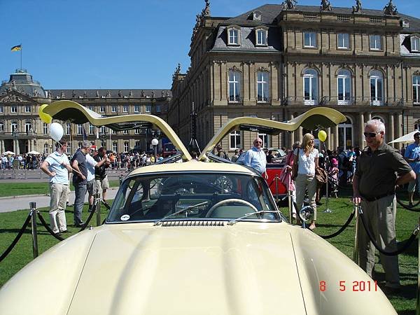 DSC08002.JPG
