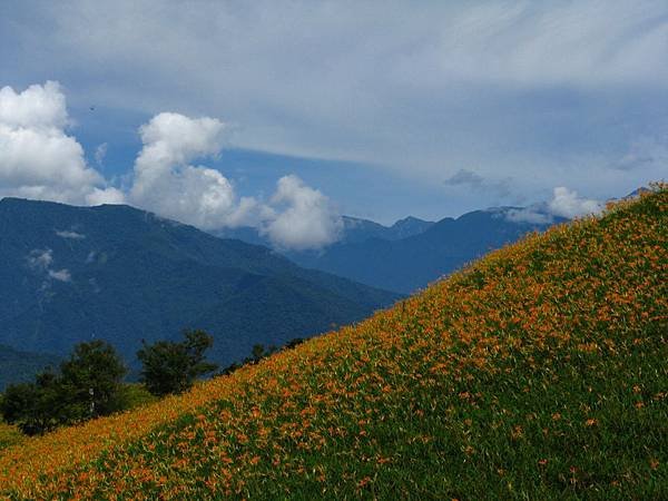 IMG_7060.JPG