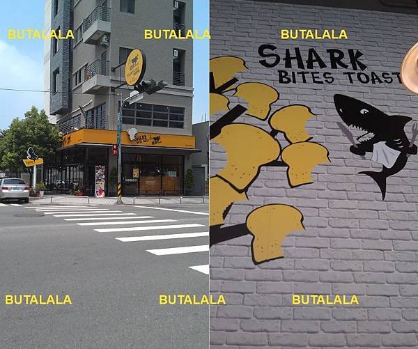 shark 逢甲店