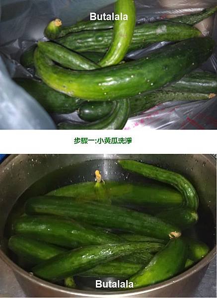 端午節小黄瓜1