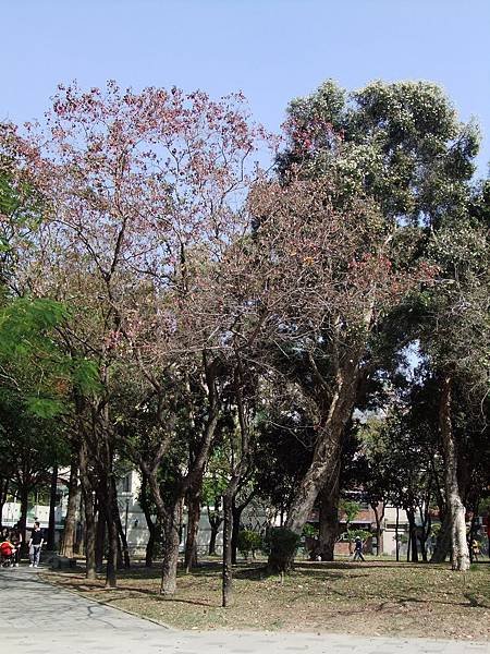 DSCF5315.JPG
