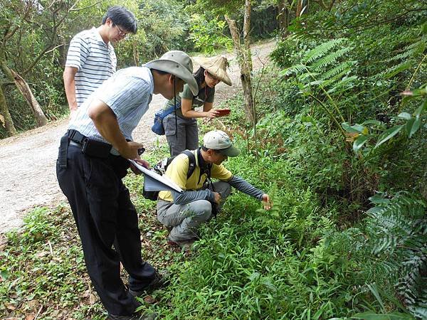 101年四分尾山自然環境踏查