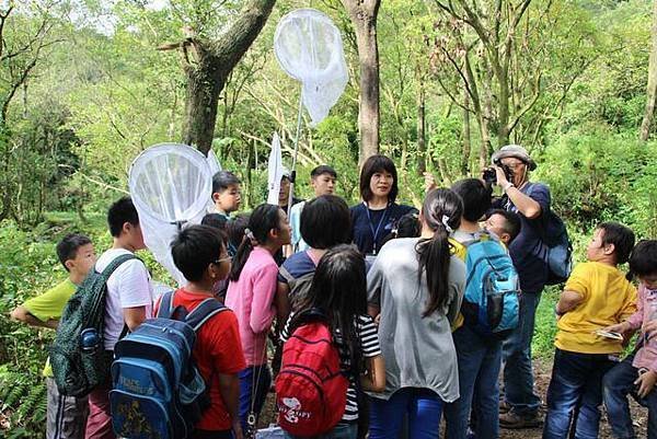 2014年11月1日四分尾山社區斑蝶、生態觀察與解說深根計畫