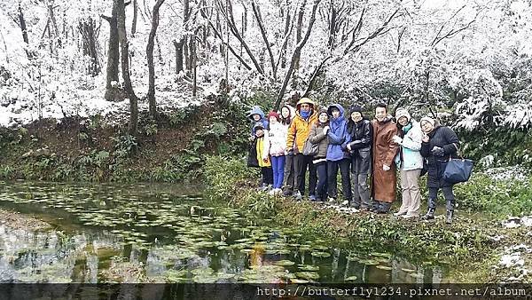 2016年1月24日四分尾山生態園區雪景