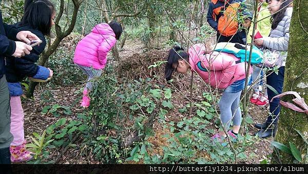 2016年3月20日四分尾山社區躍動山林計畫