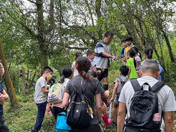 06LINE_ALBUM_20230805尋找幼蟲的蹤跡 -尋食草找幼蟲與飼養 廖學廣老師_230808_40.jpg