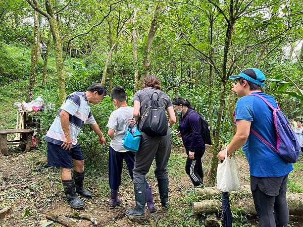 10 LINE_ALBUM_20230805尋找幼蟲的蹤跡 -尋食草找幼蟲與飼養 廖學廣老師_230808_5.jpg