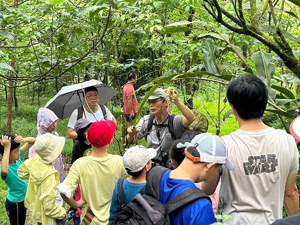 2024年5月25日 四分尾山社區品蝶閱林計畫課程--原生植