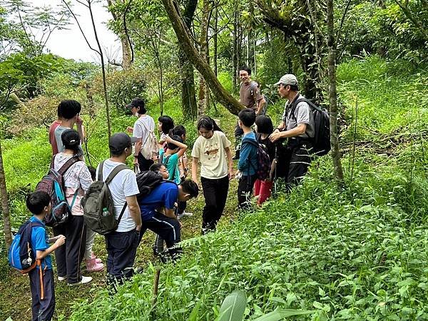 2024年5月25日 四分尾山社區品蝶閱林計畫課程--原生植