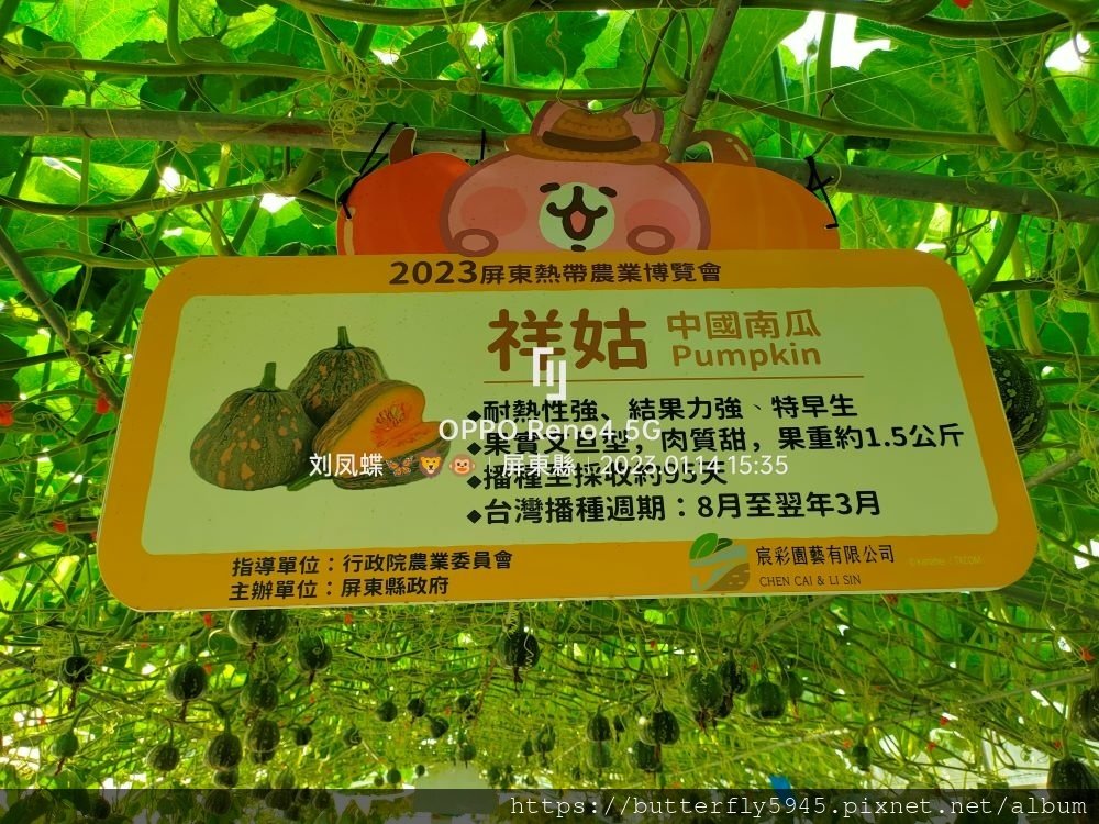 IMG20230114153542.jpg
