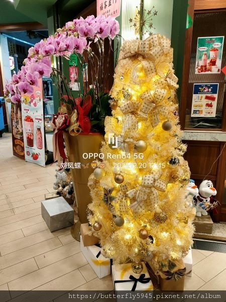 鶴茶樓-鶴頂紅茶商店(漢神自強店):草莓甘露/蘭香綠茶