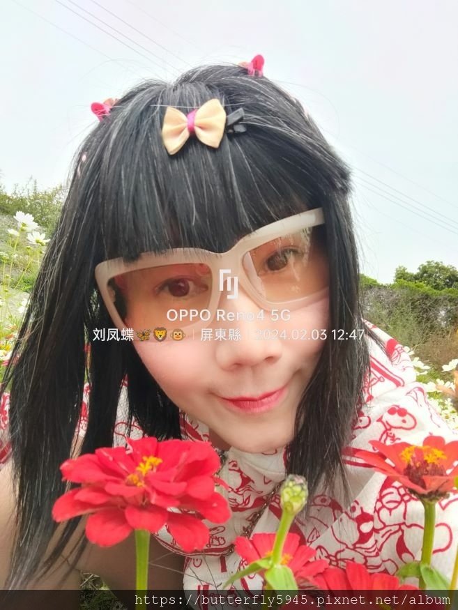 好霧蓮年 花現南州:波斯菊花海/百日草花海