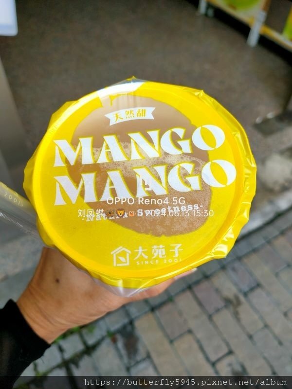 大苑子 岡山站前店:愛文翡翠
