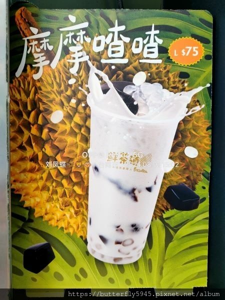 鮮茶道 成大育樂店:摩摩喳喳/夏日光芒