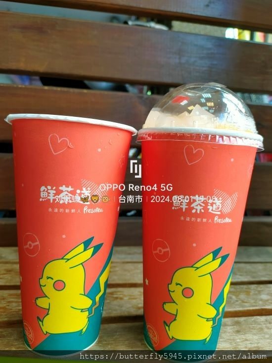 鮮茶道 成大育樂店:摩摩喳喳/夏日光芒