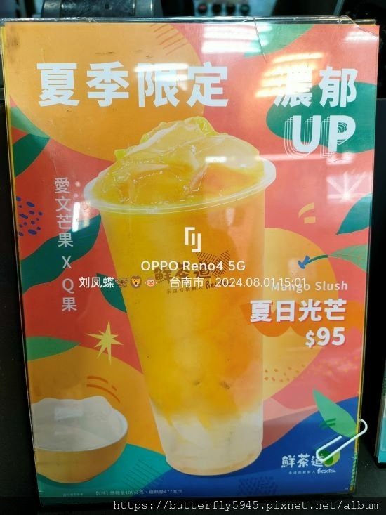 鮮茶道 成大育樂店:摩摩喳喳/夏日光芒