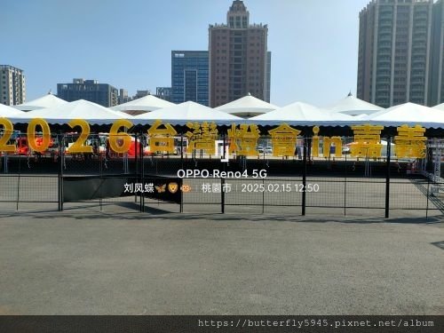 2025台灣燈會在桃園(上篇)