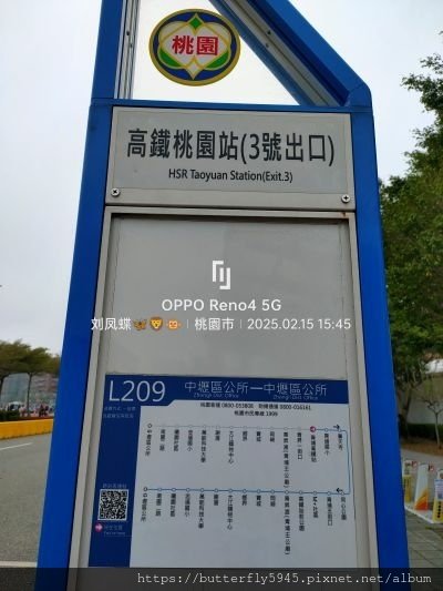 2025台灣燈會在桃園(下篇)
