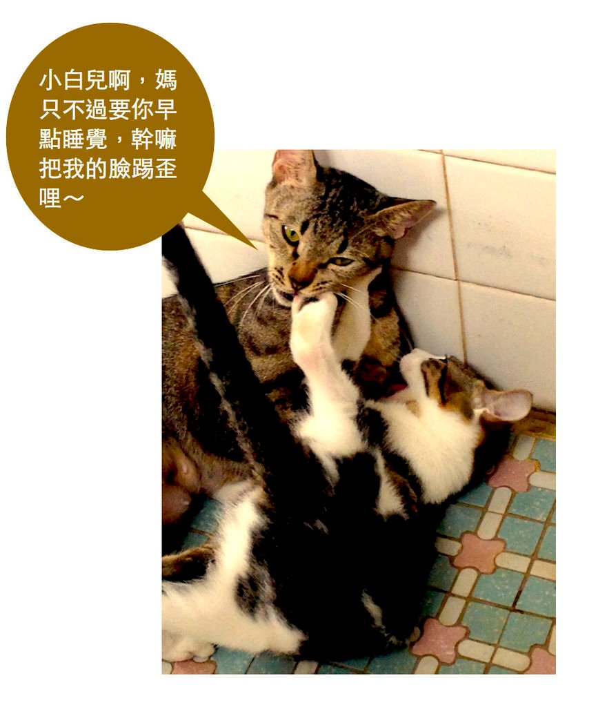 晚安.jpg