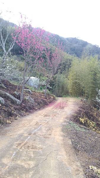 P_20160228_075045.jpg