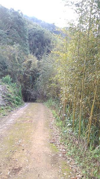 P_20160228_075119.jpg