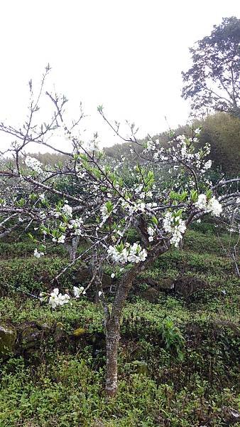 P_20160228_075146.jpg