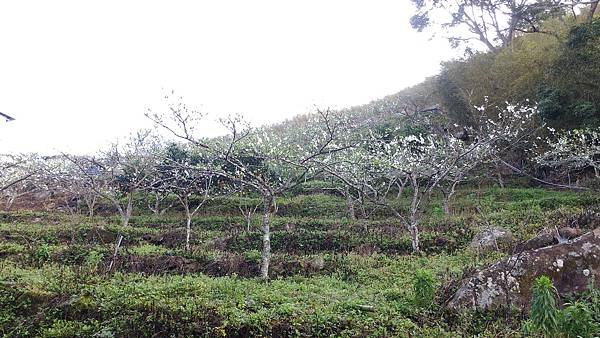 P_20160228_075214.jpg