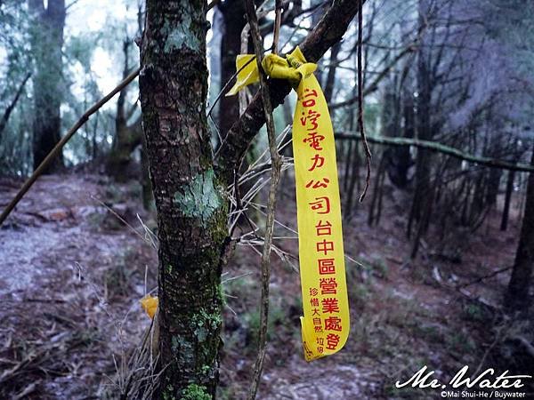 OK_P1170876.jpg